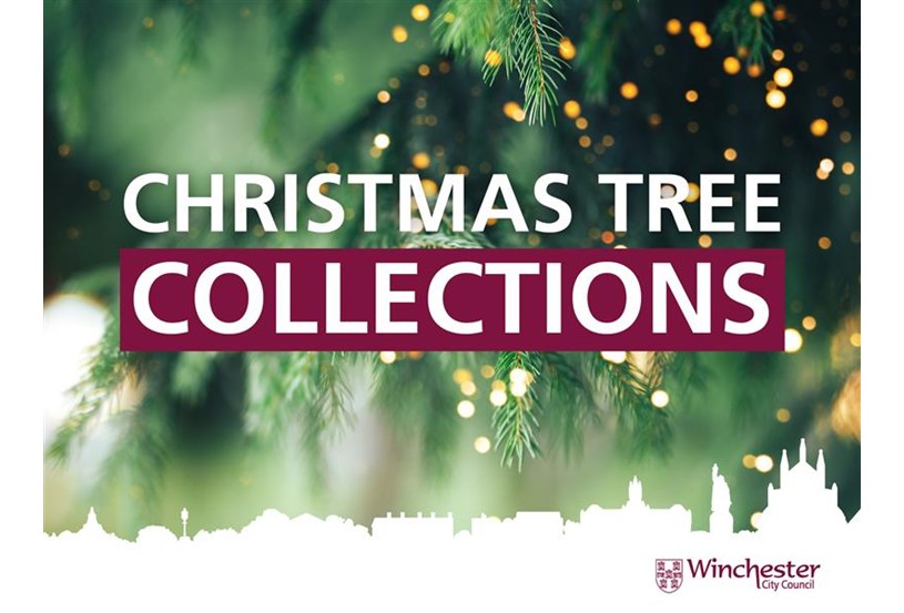 Home - Winchester City Council